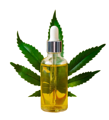 Arna-Slider-Product-2