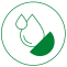 Plant-Based-Icon-4